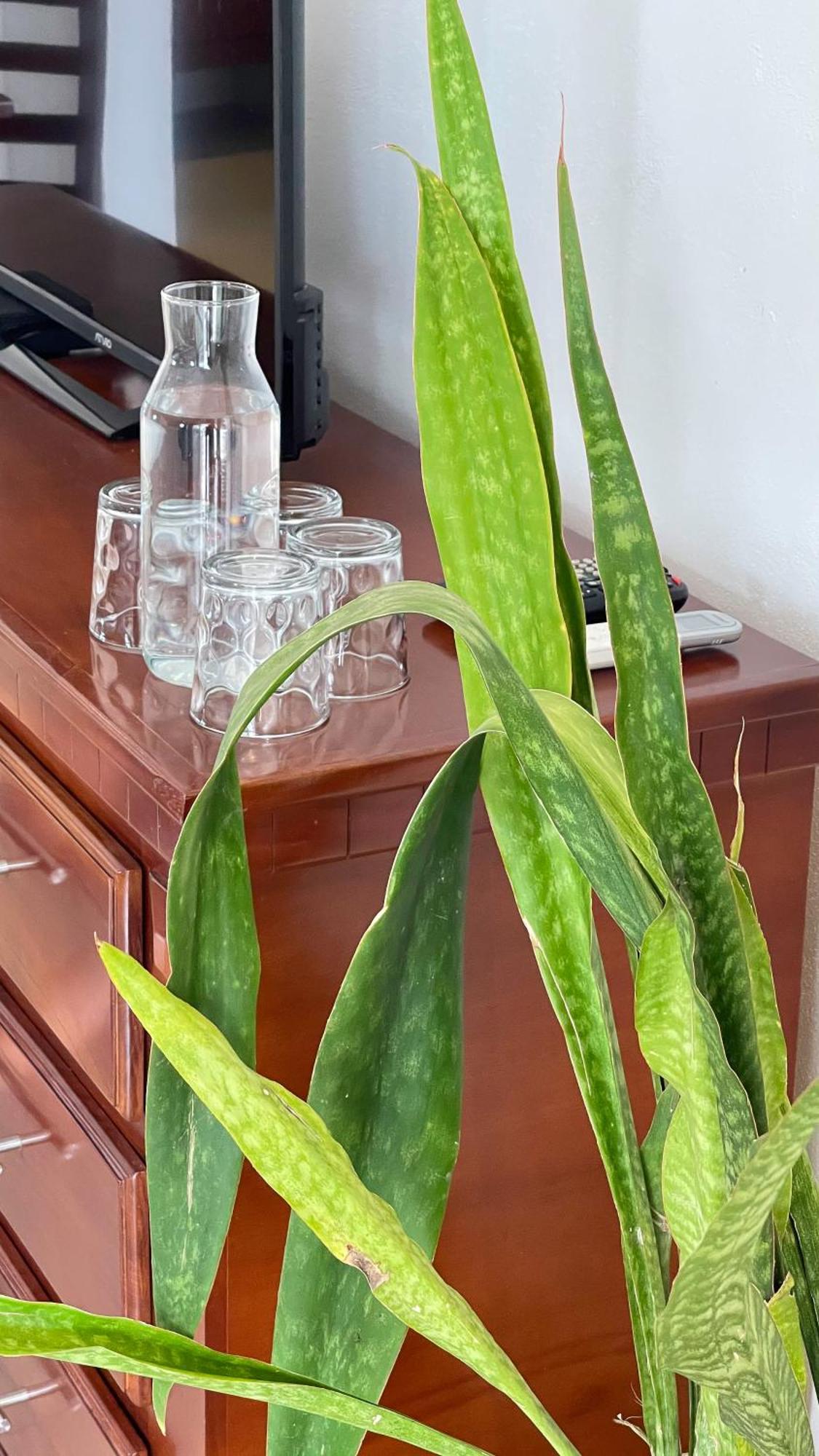 Quinta Alberto Boutique Hotel San Blas Δωμάτιο φωτογραφία