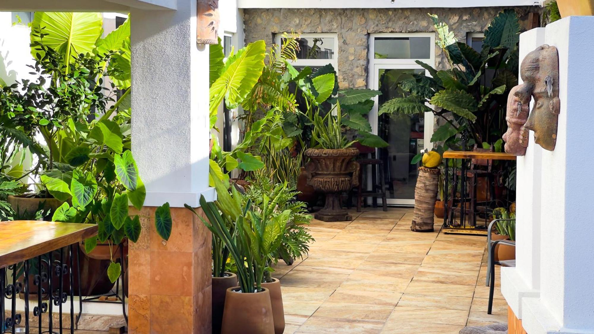 Quinta Alberto Boutique Hotel San Blas Εξωτερικό φωτογραφία